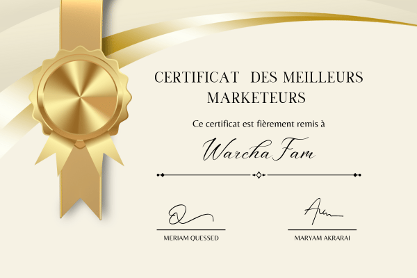 formation marketing digitale maroc